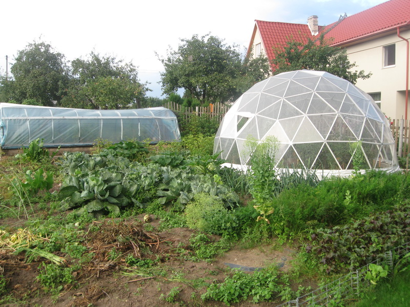 Permakultūra ir gamtinė žemdirbystė | Šiltnamiai ir kupolai ūkiui