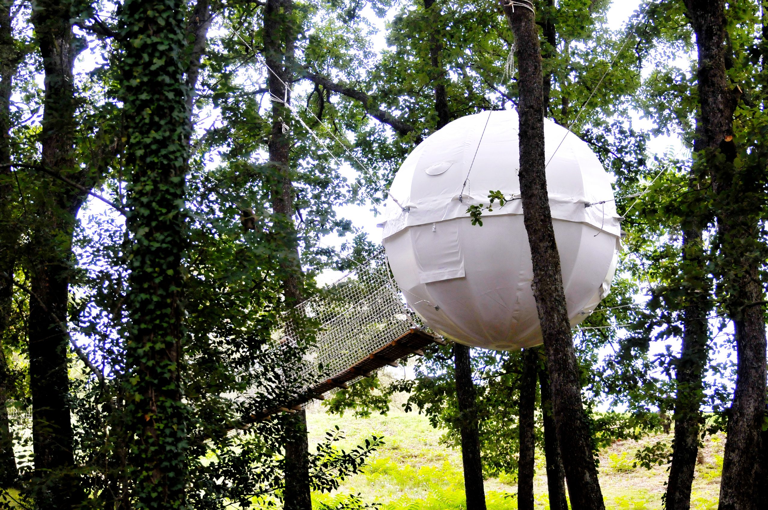 Glamping Namelis Medžiuose | Ekstremalių pojūčių megėjams